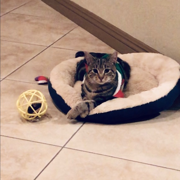 Meet your Posher, Mirka - Picture 4 of 7